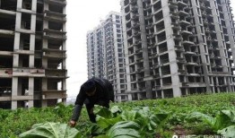 重庆烂尾楼爆料视频大全,揭秘城市建筑背后的困境与反思