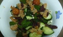 娱乐圈吃瓜里的凉菜是什么意思,吃瓜群众热议的“凉菜”究竟何意？